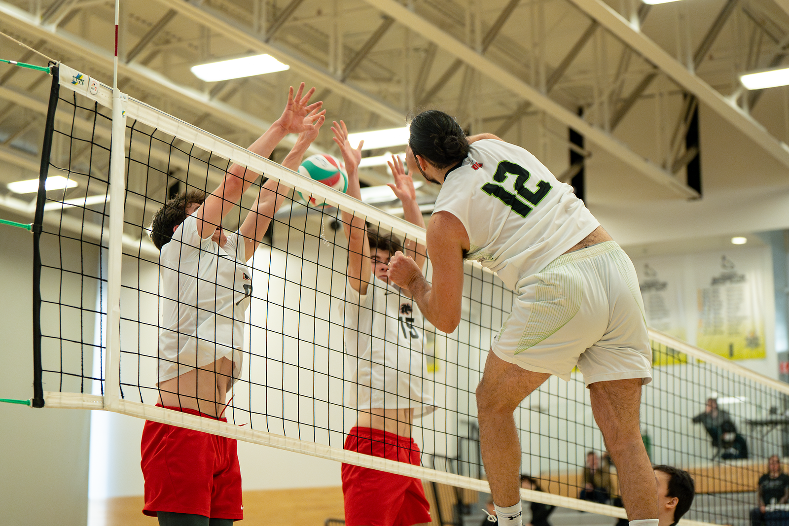 Colts Finish Season Sweeping Panthers
