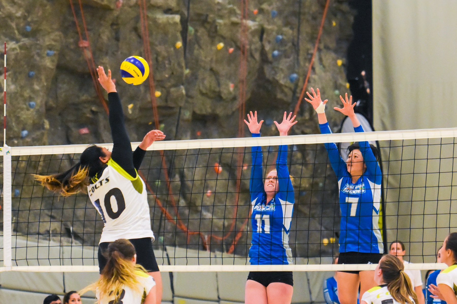 Colts women's volleyball player Tryscelle Lin goes up for a spike.
