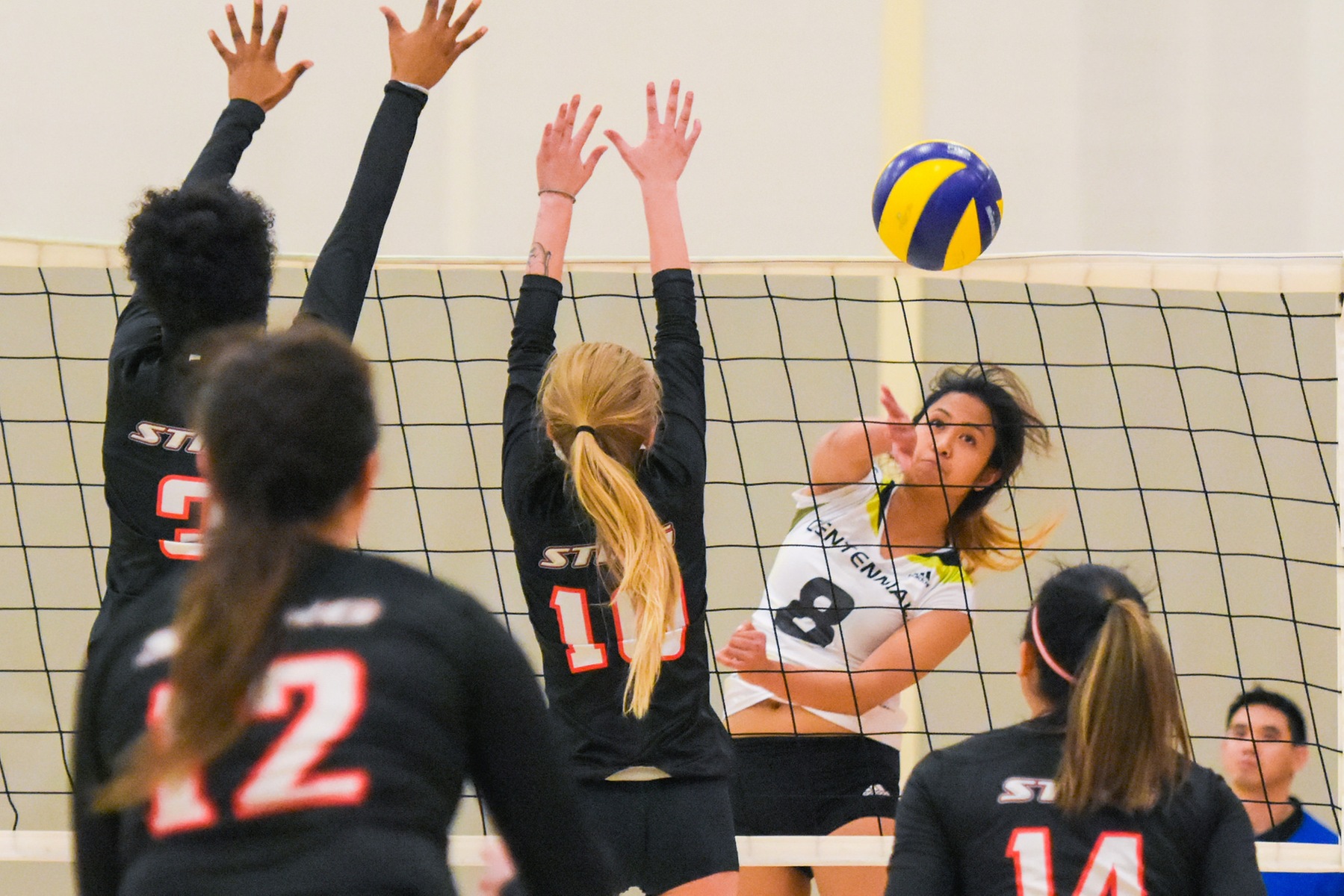 Spiking Past Obstacles: Centennial Colt Heather Sanchez fires off a spike against the Seneca Sting defenders. The Colts beat the Sting in straight sets for their eighth straight win at the Athletic and Wellness Centre. (Yvano Antonio/Colts Athletics)